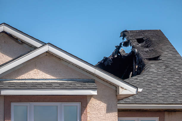 Top rated local Fire Damage Assessment specialists in Millstone Township, NJ